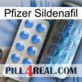 Pfizer Sildenafil 40